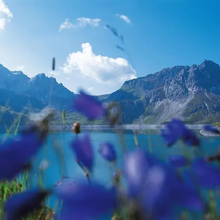 Zentral By A-appartments Brand (Vorarlberg)